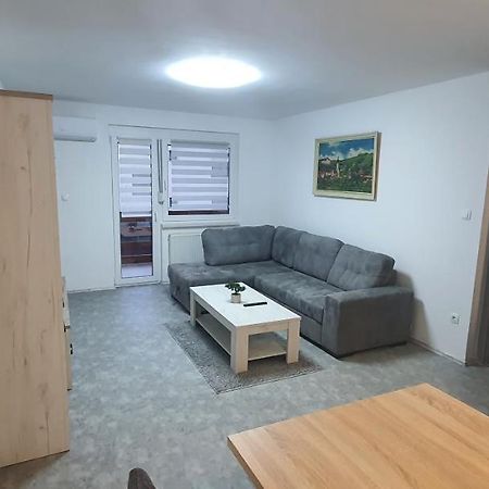 Apartma Sivi Zako Bohinj Luaran gambar